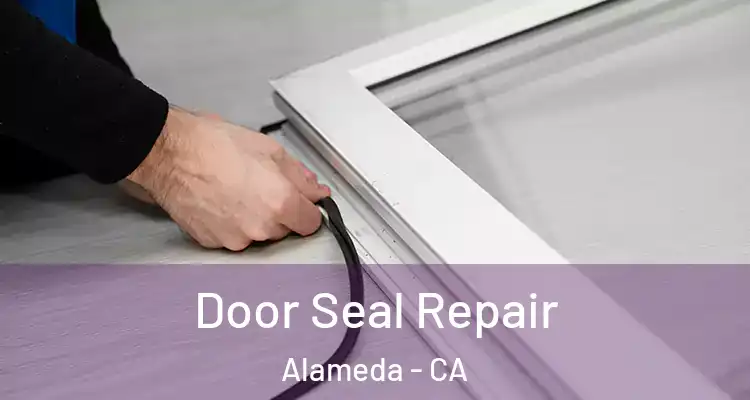  Door Seal Repair Alameda - CA