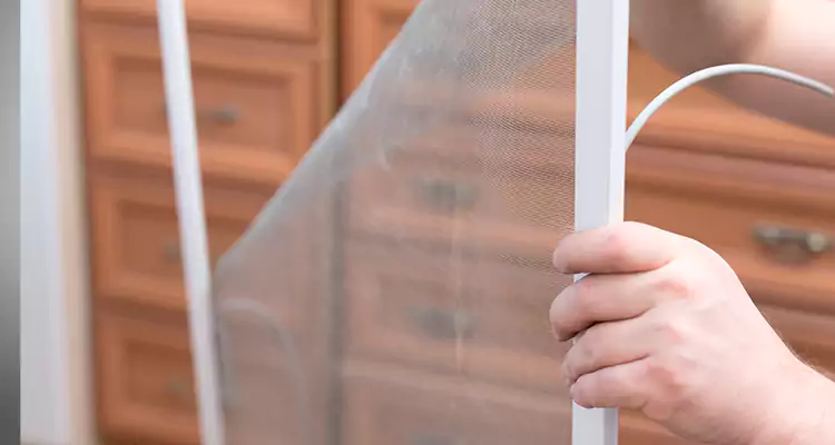 Privacy Mesh Screen Door Installation in Alameda, CA