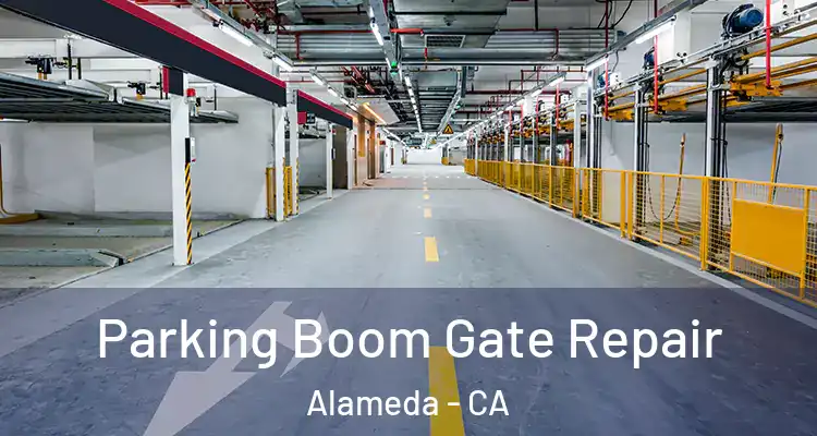 Parking Boom Gate Repair Alameda - CA