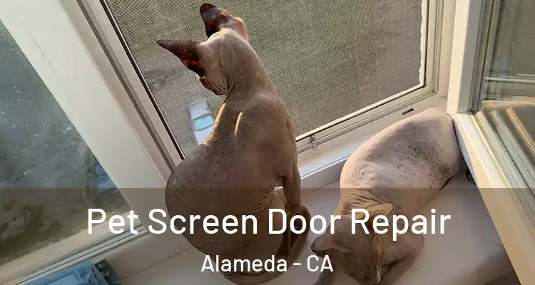 Pet Screen Door Repair Alameda - CA