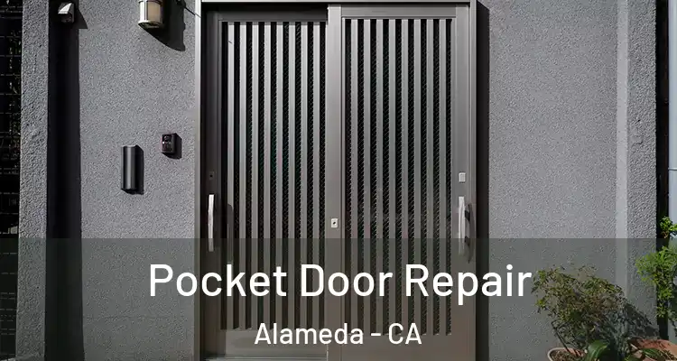  Pocket Door Repair Alameda - CA
