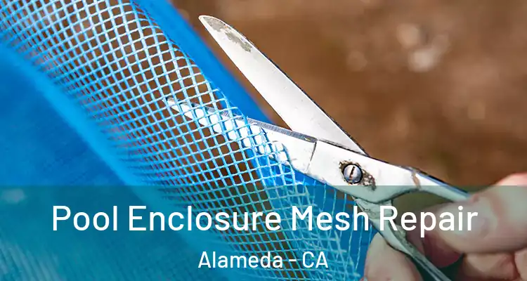  Pool Enclosure Mesh Repair Alameda - CA