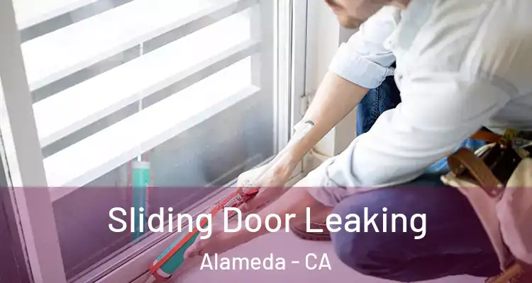  Sliding Door Leaking Alameda - CA