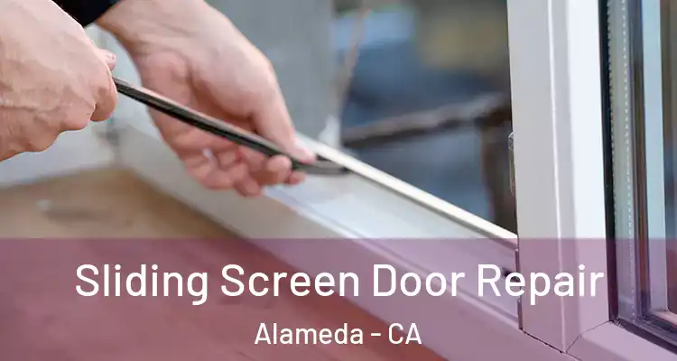  Sliding Screen Door Repair Alameda - CA