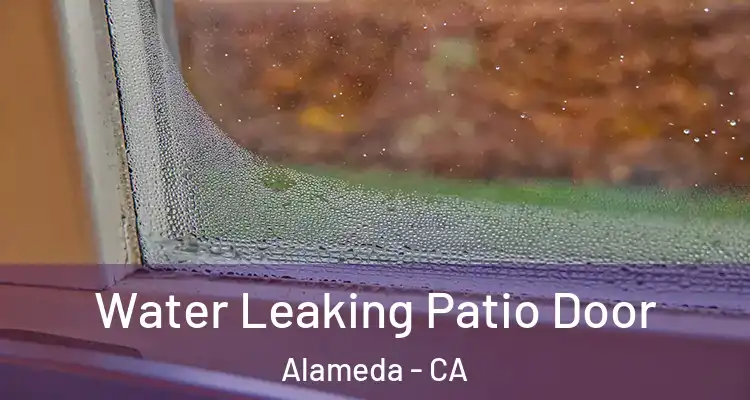  Water Leaking Patio Door Alameda - CA