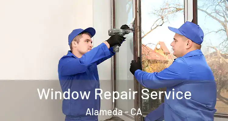  Window Repair Service Alameda - CA