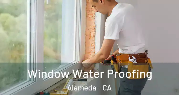  Window Water Proofing Alameda - CA